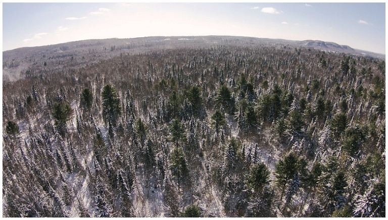 Arrowhead Provincial Park Skating and winter activities