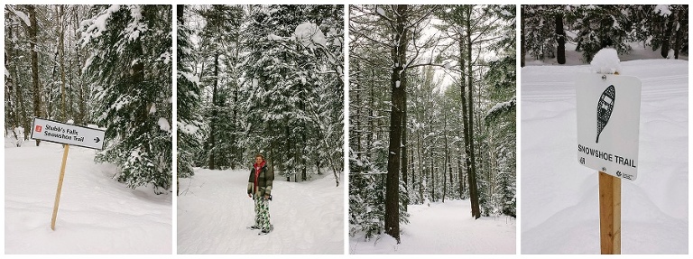 Arrowhead Provincial Park Skating and winter activities