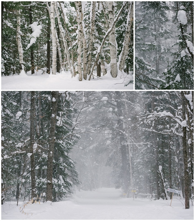 Arrowhead Provincial Park Skating and winter activities