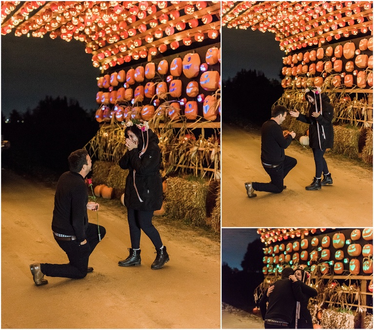 Toronto wedding photographer captures proposal at pumpkin farm during covid-19 pandemic