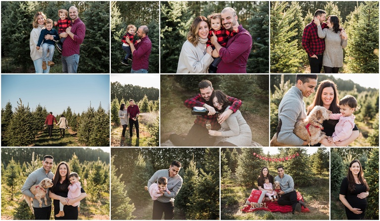 Various families and couples posing in the Christmas Trees at Merry Farms, Hamilton Ontario taking by Toronto Wedding Photographer Caitlin Free Photography