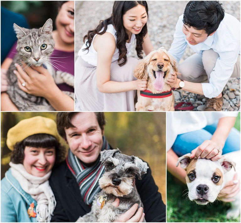 Collage of couples with their pets all around Ontario in cool places having engagement photos taken