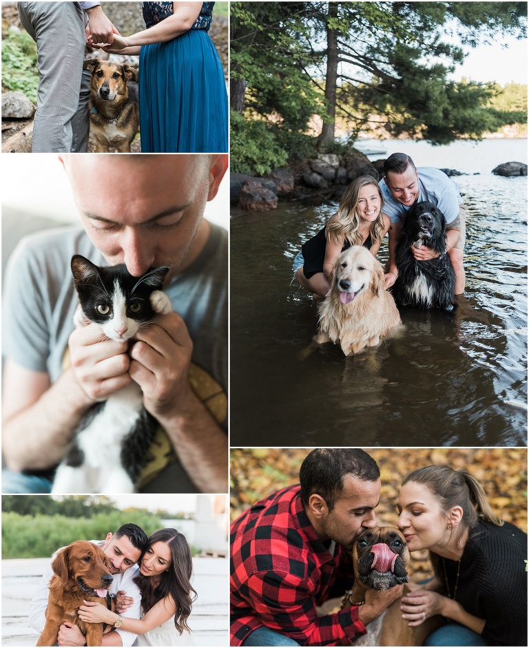 Collage of couples with their pets all around Ontario in cool places having engagement photos taken