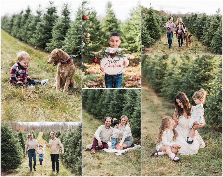 2022 Hamilton Christmas Tree Farm Mini Sessions