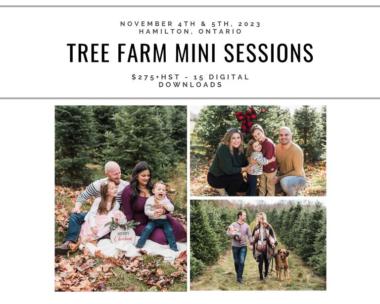 2023 Hamilton Christmas Tree Farm Mini Sessions