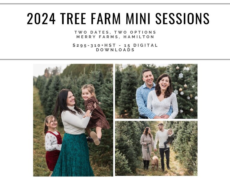 2024 Hamilton Christmas Tree Farm Mini Sessions