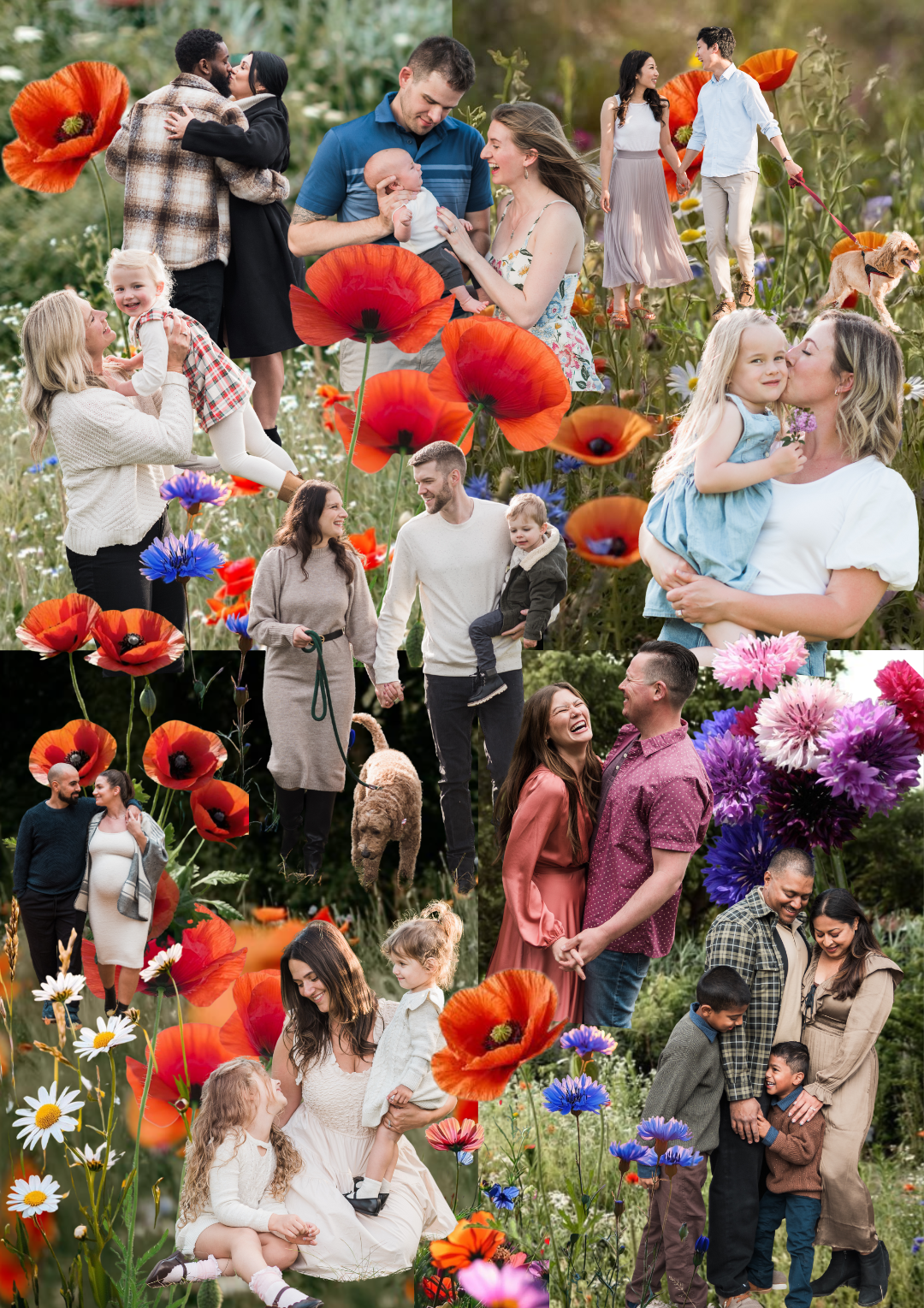 Collage of families surrounded by wildflowers for Spring Mini Sessions in Hamilton