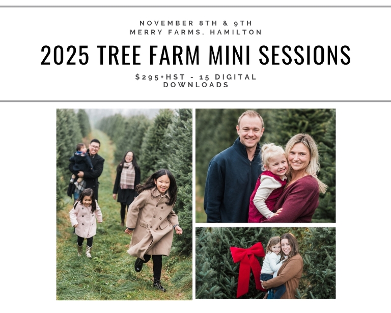 2025 Hamilton Christmas Tree Farm Mini Sessions