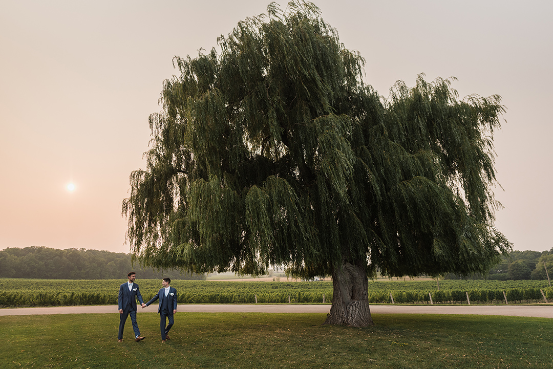 Same sex couple walk holding hands in front of huge willow tree with a hazy warm sunset behind them