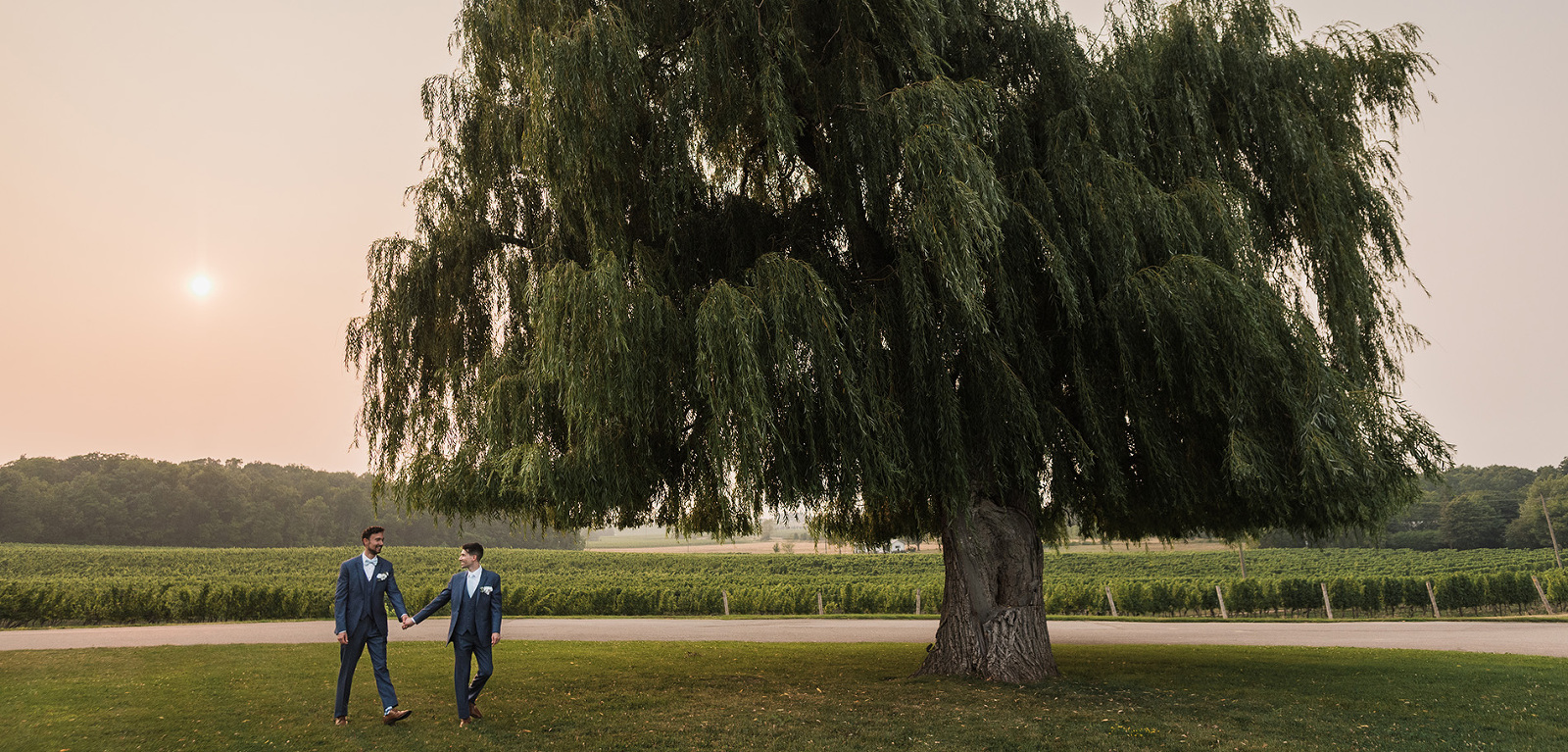 Same sex couple walk holding hands in front of huge willow tree with a hazy warm sunset behind them